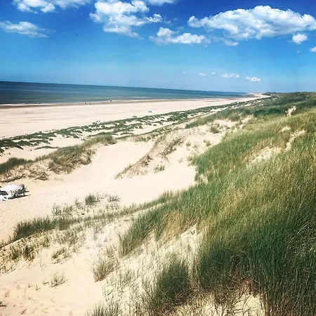 Flore, Studio's Bergen aan Zee