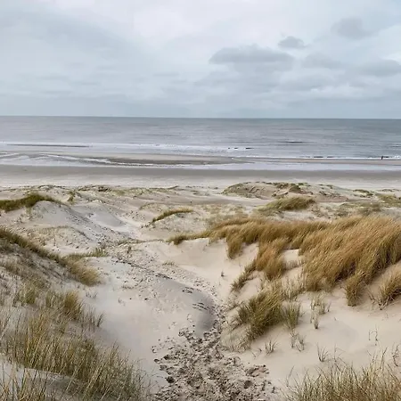 Flore, Studio's アパート