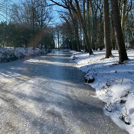 アパート Flore, Studio's ベルゲン・アーン・ゼー