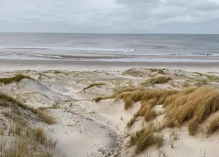 Flore, Studio's Apartamento