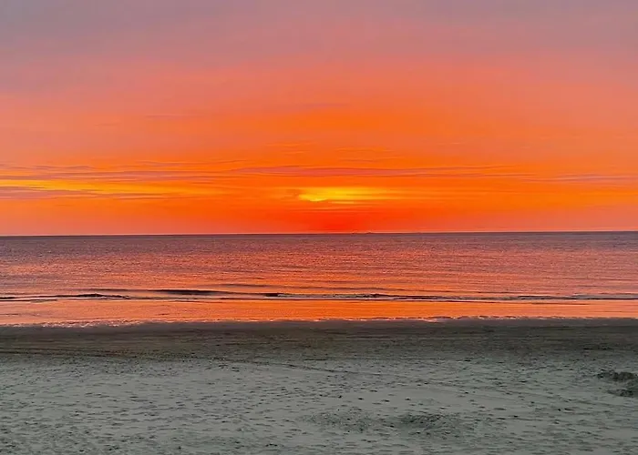 Flore, Studio's Apartamento