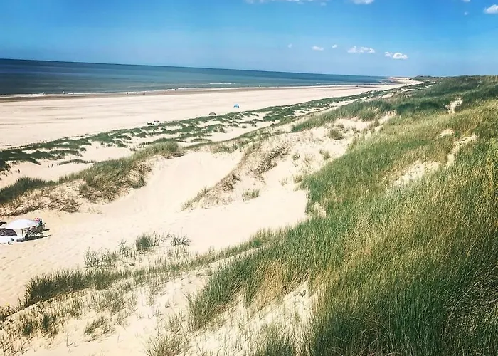 Flore, Studio's Bergen aan Zee