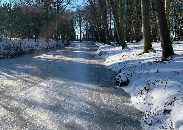 Apartamento Flore, Studio's Bergen aan Zee